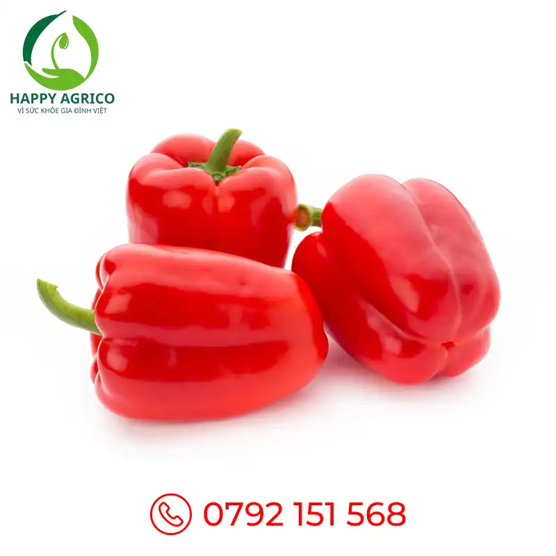 Ớt chuông đỏ